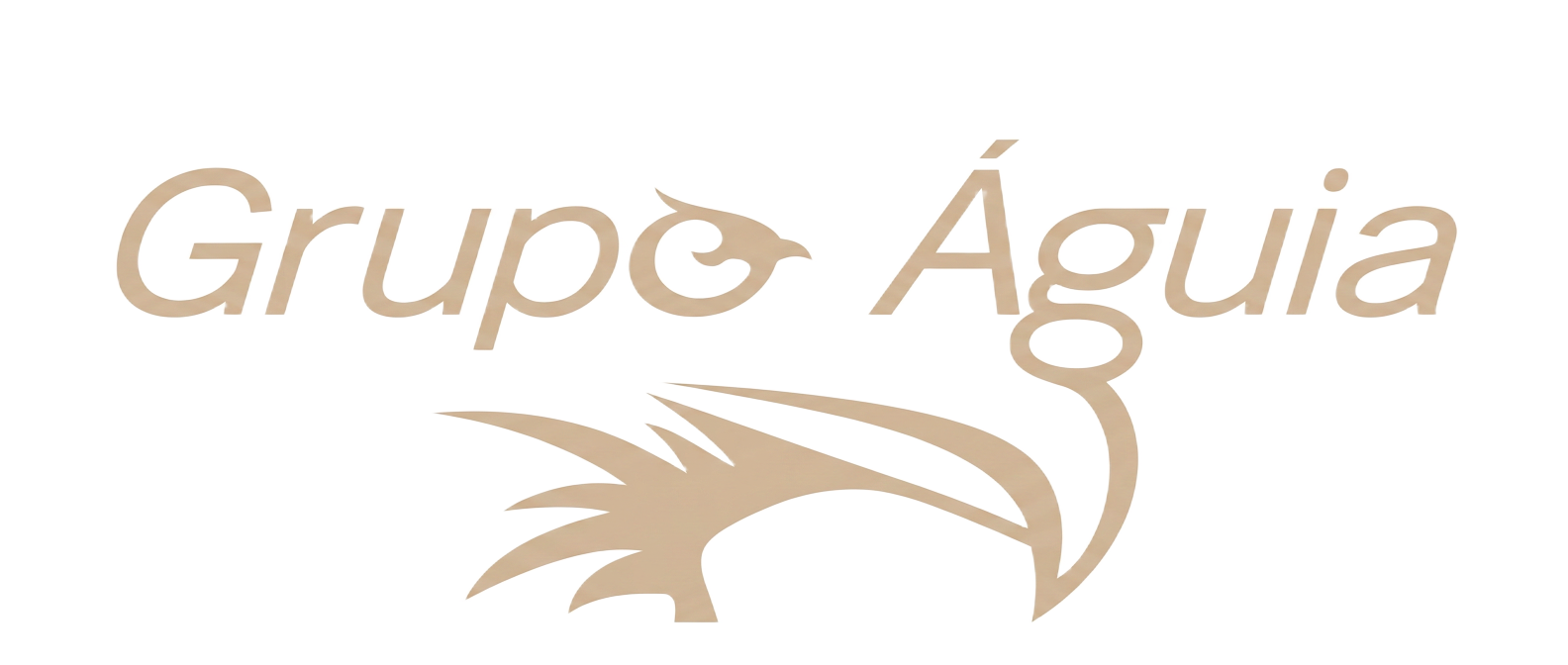 Grupo Águia